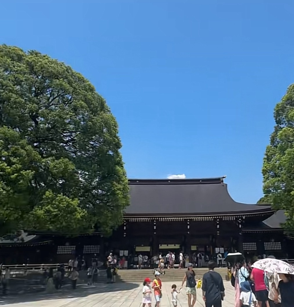 豊かな緑に囲まれた明治神宮の社殿の屋根と青空