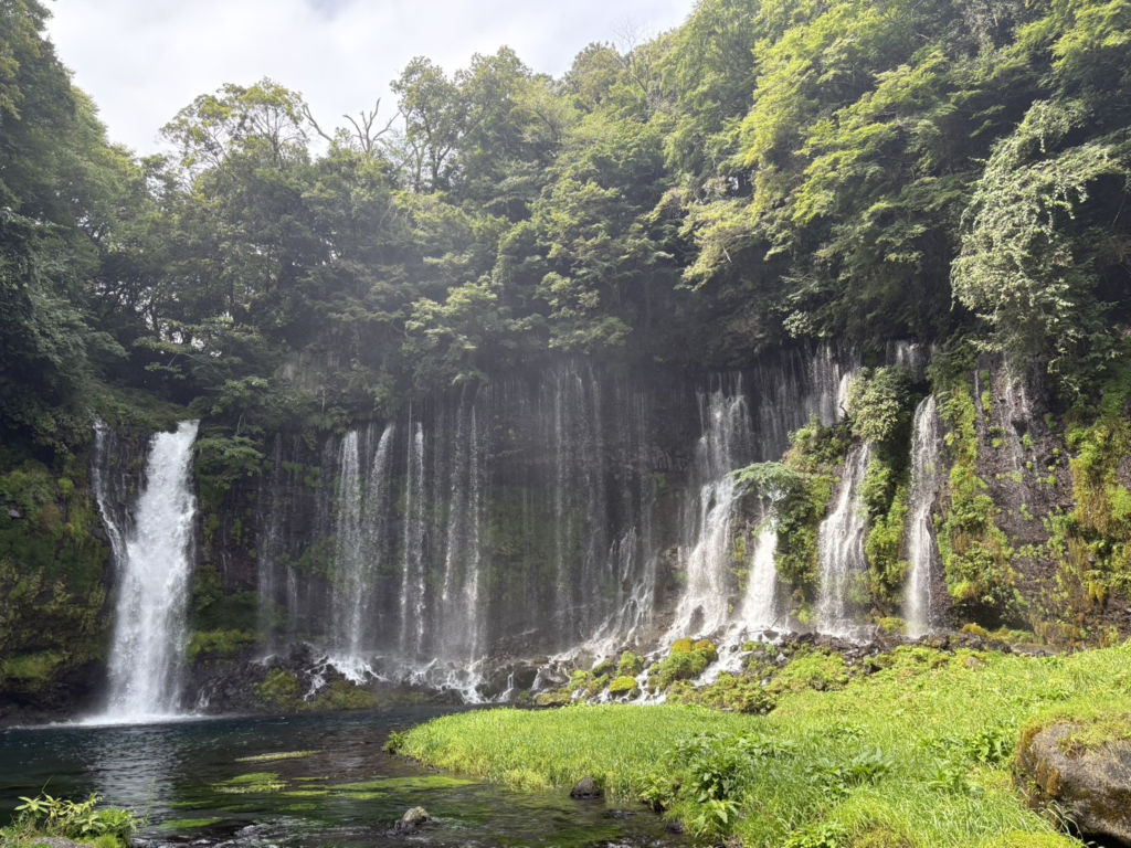 絹糸のように何筋もの水が幅広く流れ落ちる白糸の滝の全景