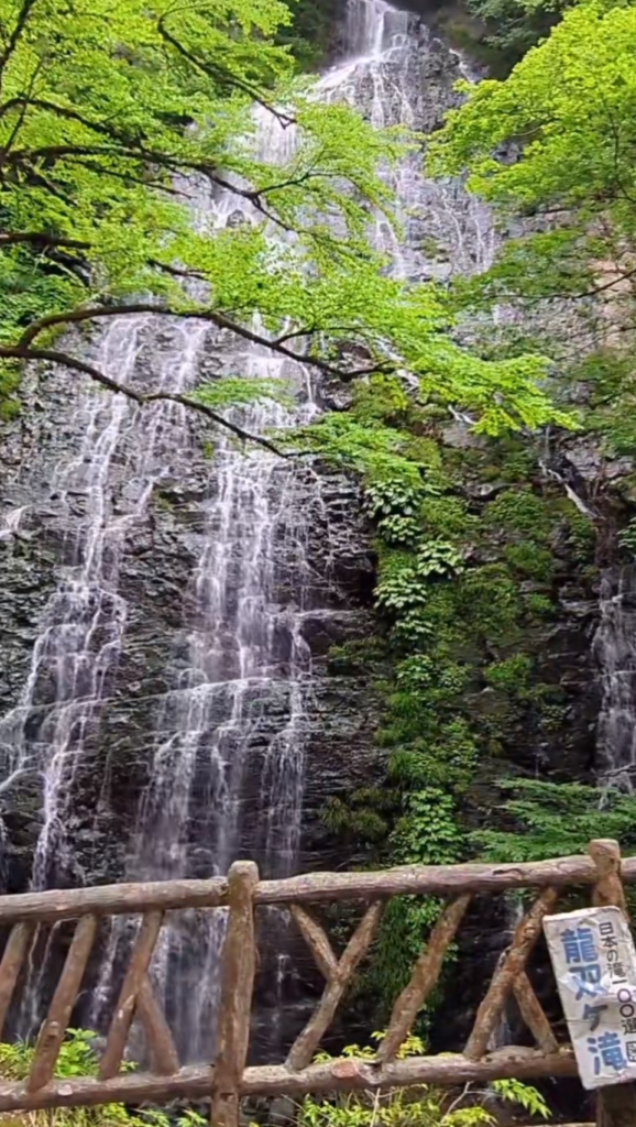 一枚岩を滑るように美しく流れ落ちる福井県の龍双ヶ滝