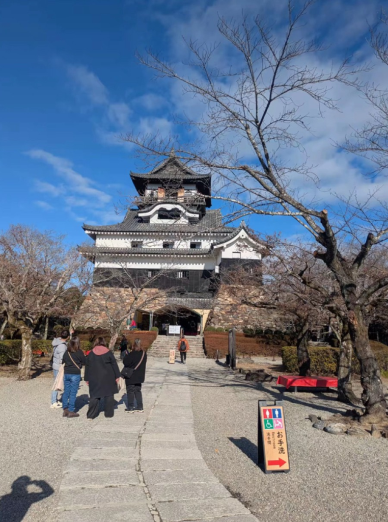冬の枯れ木越しに見上げる、国宝犬山城の天守