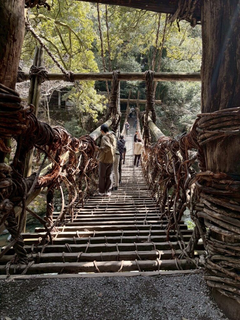 野生味あふれるスリル体験のできるかずら橋